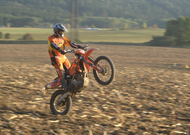 img00111.jpg