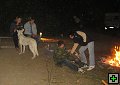 thn00120.jpg