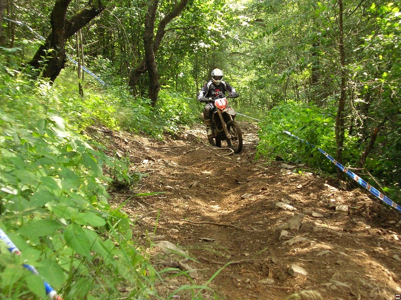 img00011.jpg