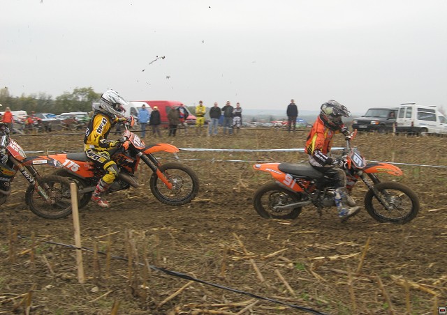img00007.jpg