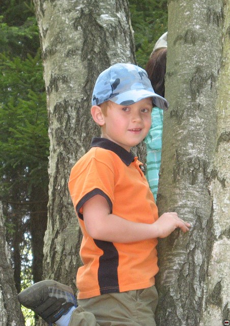 img00008.jpg