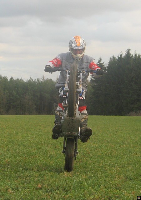 img00005.jpg