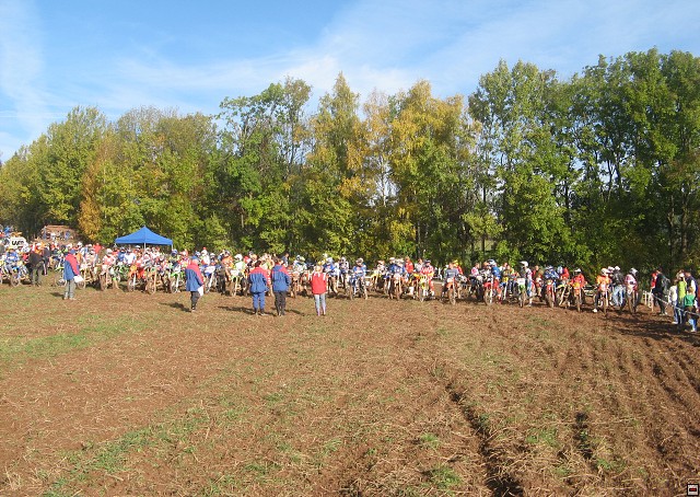 img00007.jpg