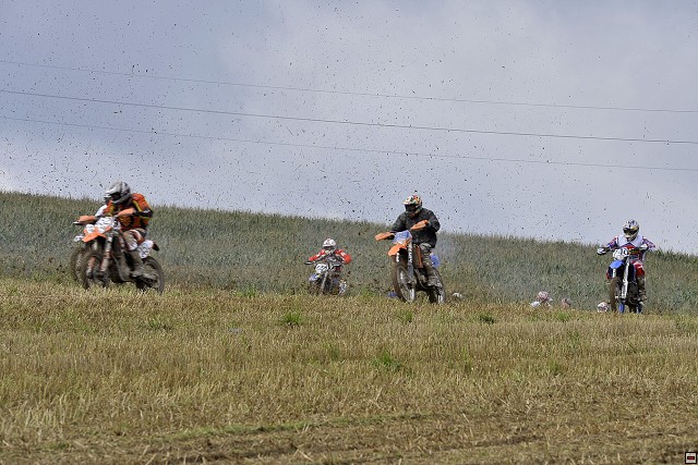 img00005.jpg
