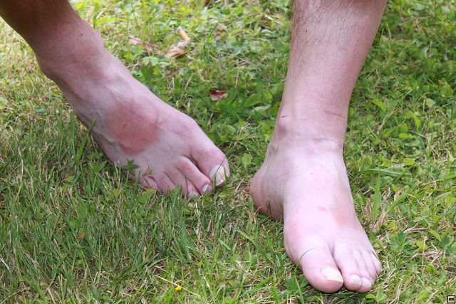 img00090.jpg
