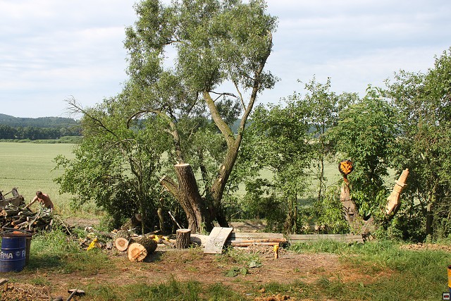 img00003.jpg