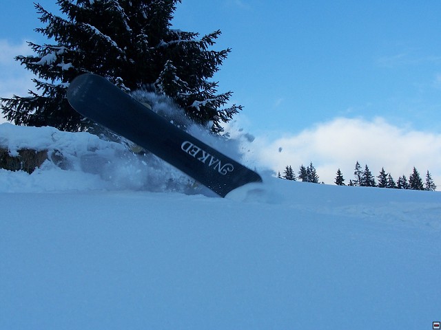 img00062.jpg