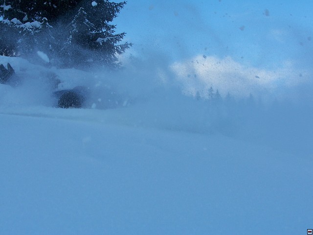img00063.jpg