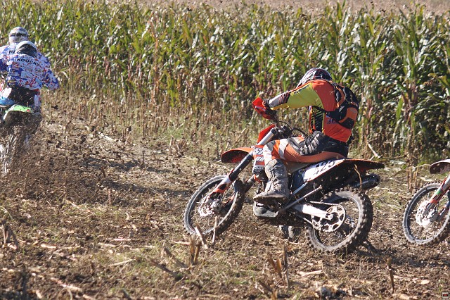 img00011.jpg