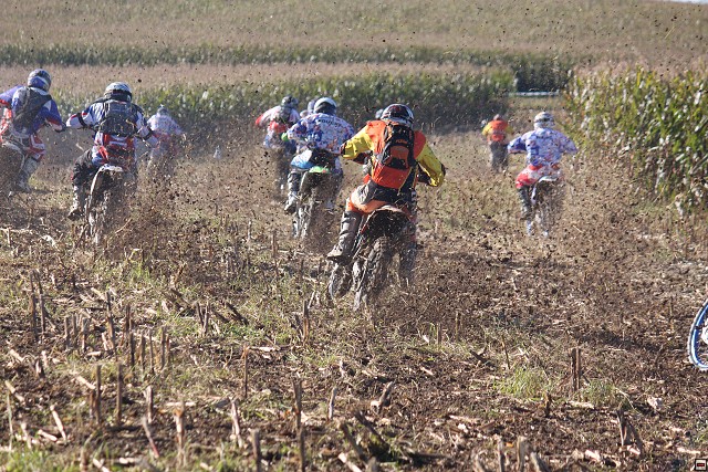img00012.jpg