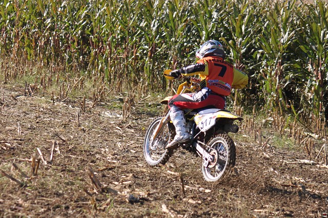 img00015.jpg