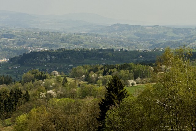 img00002.jpg