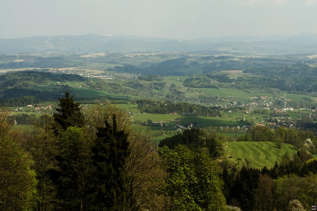 img00003.jpg