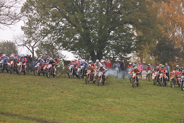 img00011.jpg