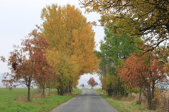 img00067.jpg