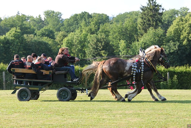 img00093.jpg