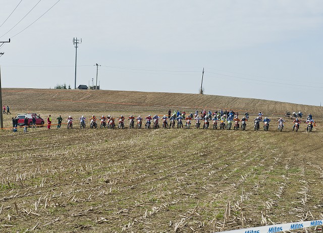 img00007.jpg