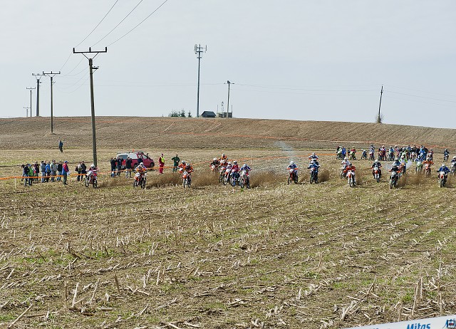 img00008.jpg