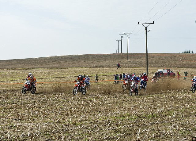 img00009.jpg