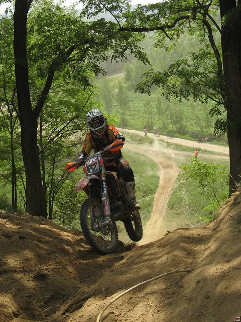 img00008.jpg