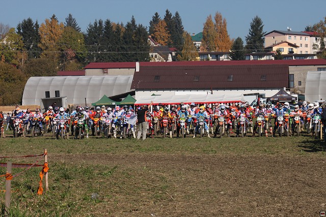 img00011.jpg