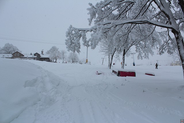 img00071.jpg