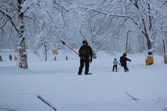 img00075.jpg