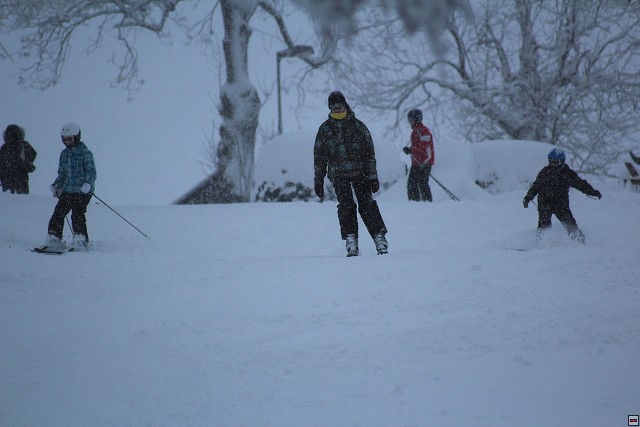 img00078.jpg