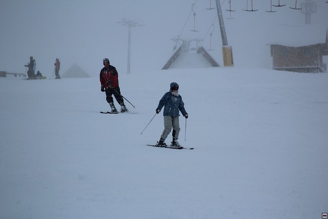 img00081.jpg